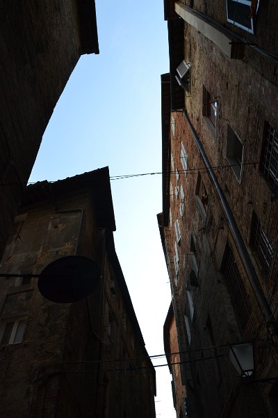 DSC_0031