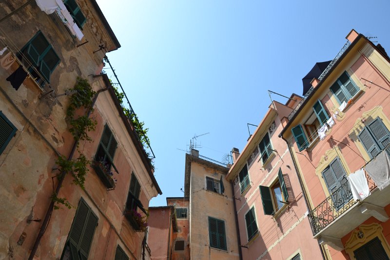 DSC_0361