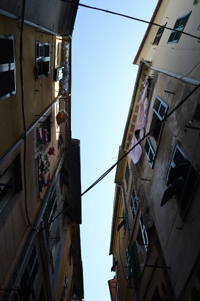 DSC_0433