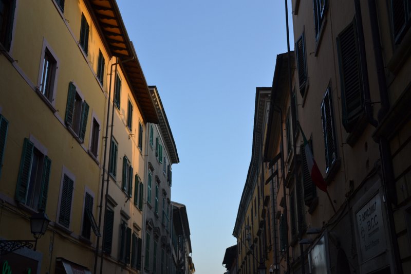 DSC_1015