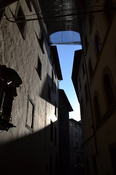 DSC_8146